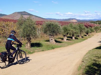 Maxpulse - aktive reiser Sykkeltur i Dourodalen, Sykkelturer på egenhånd