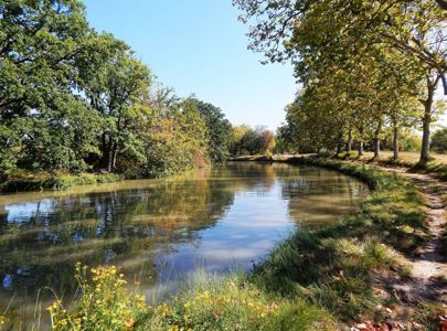 Maxpulse - aktive reiser, Sykkelturer på egenhånd, Sykkeltur langs Canal du Midi