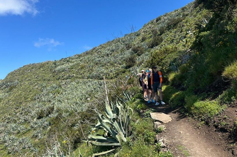 Treningsreise til Tenerife med Maxpulse