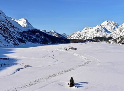 Bli med Maxpulse på skirenn i Engadindalen i Sveits, Skirenn med Maxpulse