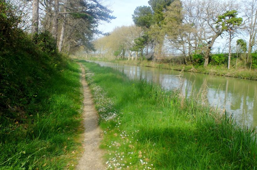 Canal Du Midi 4