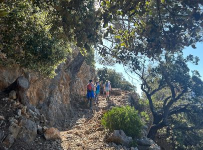 Treningsreise til Mallorca med Maxpulse