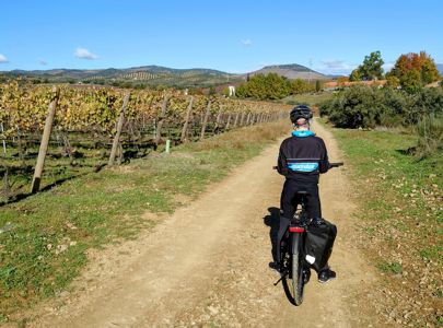 Douro Anne Ser Ut Over Vinmarken